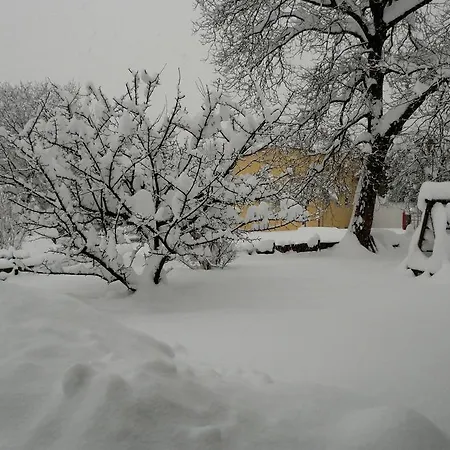 Heidinger Oberaudorf